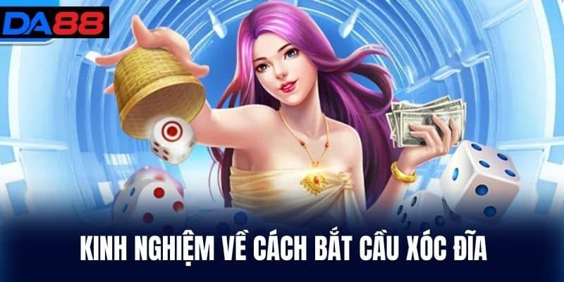 Kinh Nghiệm về Cách Bắt Cầu Xóc Đĩa