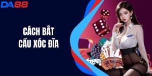 Cách Bắt Cầu Xóc Đĩa - Chiến Thuật Và Bí Quyết Thắng Lợi