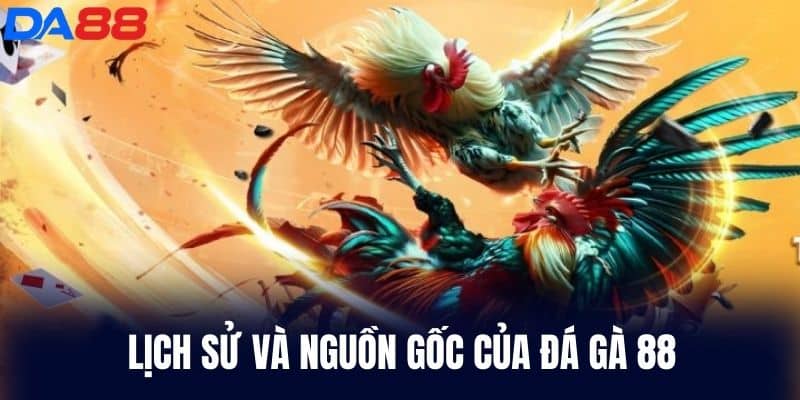 Lịch sử nguồn gốc của Đá Gà 88