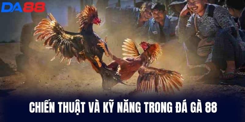 Chiến thuật và kỹ năng trong Đá Gà 88