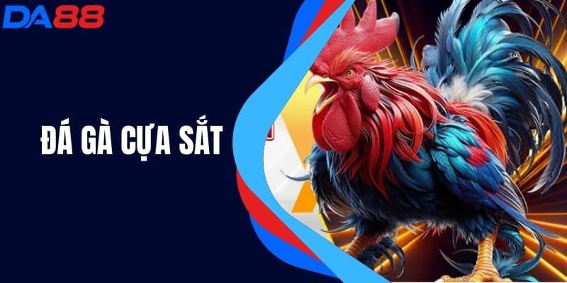 Đá Gà Cựa Sắt - Hướng Dẫn Từ A-Z Cho Người Mới Bắt Đầu