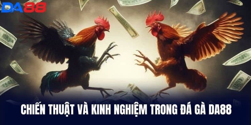 Chiến thuật và kinh nghiệm trong Đá Gà DA88