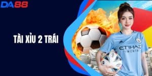 Tài Xỉu 2 Trái - Cách Chơi, Chiến Thuật Và Điều Cần Lưu Ý