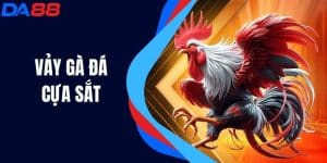 Vảy Gà Đá Cựa Sắt - Bí Quyết Chọn Lọc Thắng Vượt Trội!
