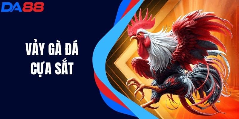 Vảy Gà Đá Cựa Sắt - Bí Quyết Chọn Lọc Thắng Vượt Trội!